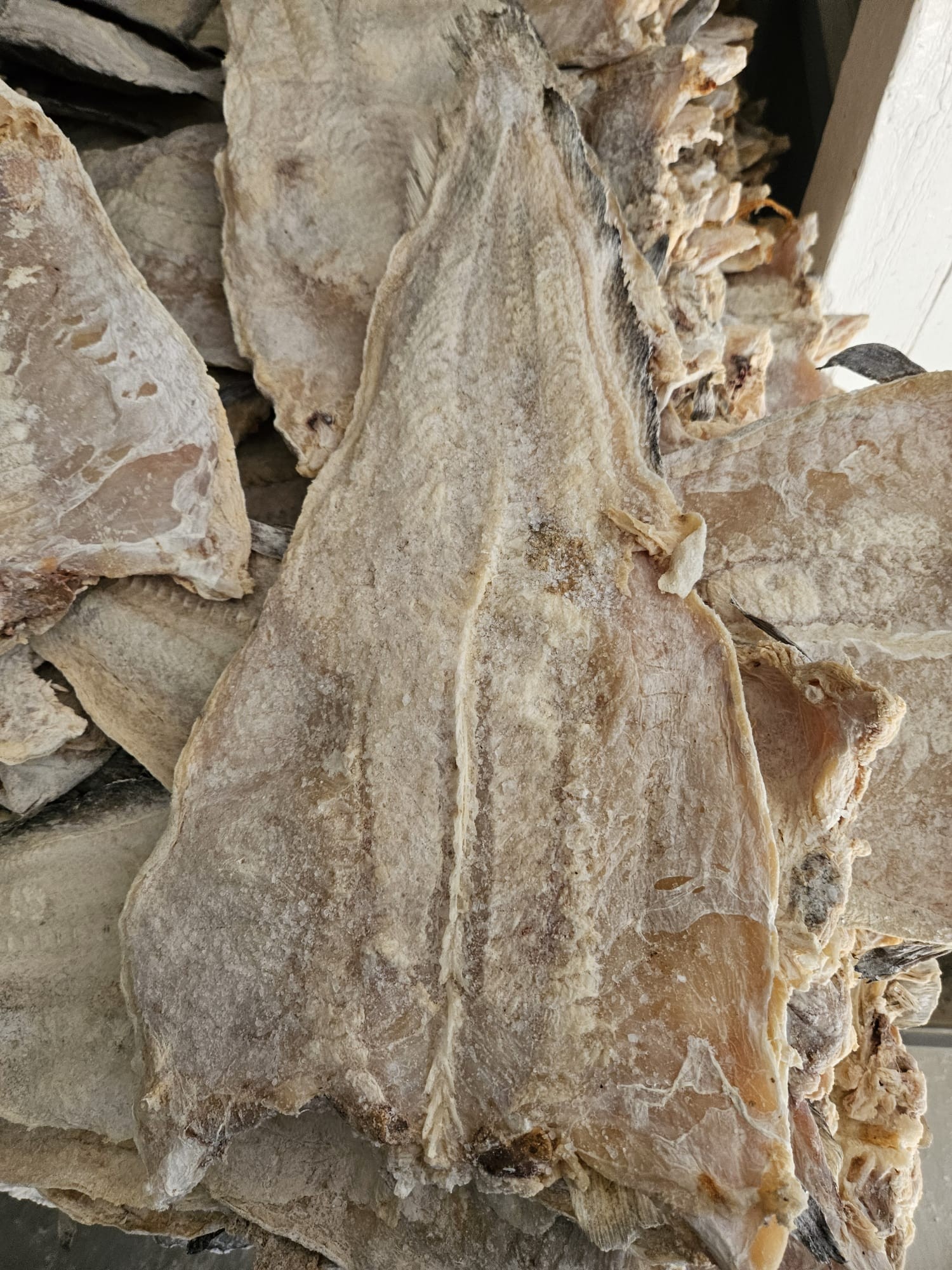 Salted Tusk ( Sole )